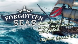 Forgotten Seas - Выживание в мире пиратских островов. Первый взгляд. #9