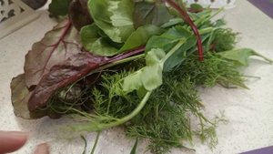 Планы на листья ореха,салат из....