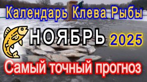 Прогноз клева рыбы на НОЯБРЬ 2025 года. Лунный календарь рыбака. Календарь рыбака на НОЯБРЬ