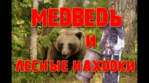 ВСТРЕЧА С МЕДВЕДЕМ. Коп по войне. Фильм 41. Военная археология.