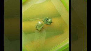 Попались Редкие и Дорогие. Цены ПОДРОСЛИ.