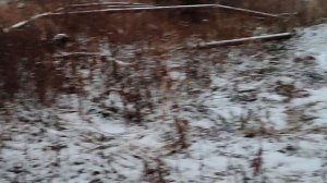 Станция Сейда. Гаражи...