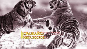 СРАЖАЙСЯ ЗА СЕБЯ...ИНГА ХОСРОЕВА
