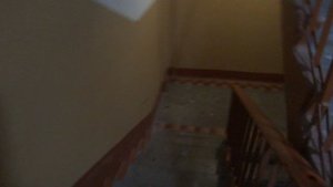 Пассажирский лифт (г. Балашиха), V=1 м-с, г-п 320 кг (84)