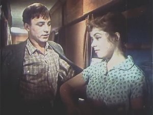 Диана Шахова - Попутчица