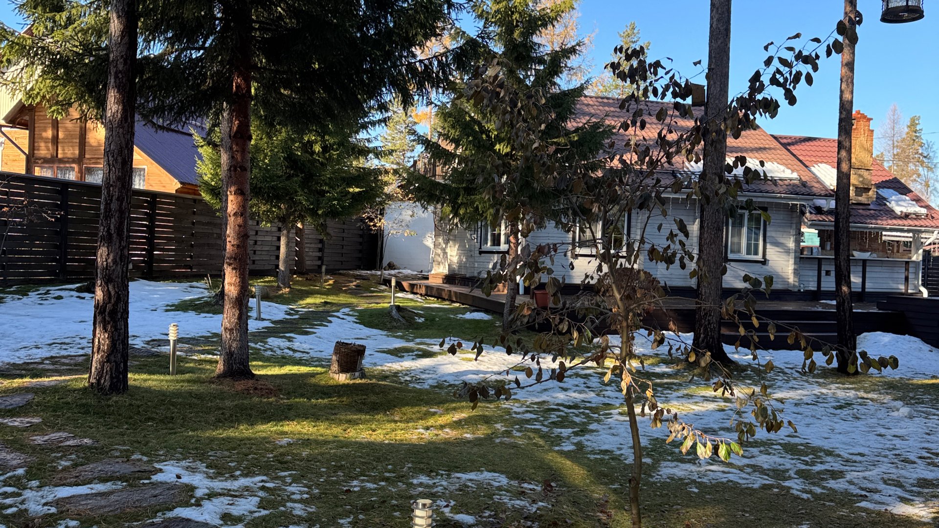 Обзор теплицы 1 ноября. Сорта салата