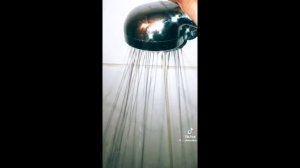 утки из тт подборка видео