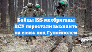 Бойцы 125 мехбригады ВСУ перестали выходить на связь под Гуляйполем