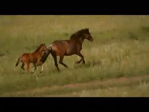 Хакасия Тун Пайрам