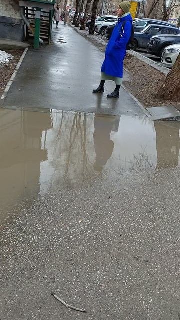 №317. Двор Г. Звезда 73 - Красноармейская 52. 9 апреля 2025 г., 13:40:41. VID_20250409_134000777