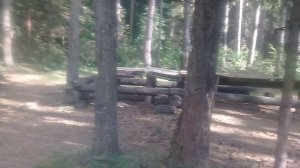 Наша лесная столовая. Лес Телеши вблизи Смоленска.