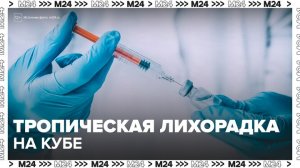 На Кубе зафиксирован сезонный рост заболеваемости тропическими лихорадками - Москва 24