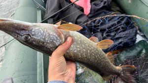 Рыбалка на спиннинг. Рыбалка на блесну. Рыбалка на щуку. Блесна. Рыбалка на блесну вертушку.