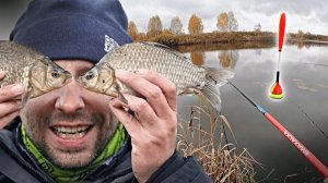 Здесь ещё КЛЮЕТ КАРАСЬ! Рыбалка на поплавок поздней ОСЕНЬЮ