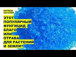 Этот популярный фунгицид - благо или отрава для растений и земли?