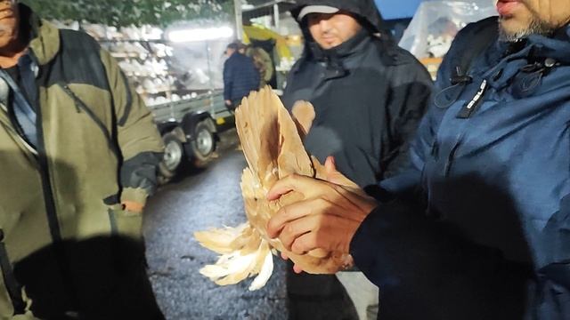 25.10.2025г Ночные покупки на Ярмарке. смотреть онлайн