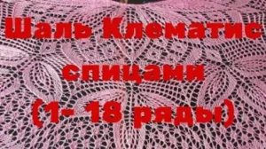 Шаль Клематис спицами 1 по 18 ряды