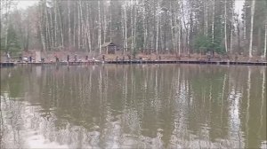 Форель реагирует на приманки во всех горизонтах. Клёвое место, Лосиный остров, спорт-зона.