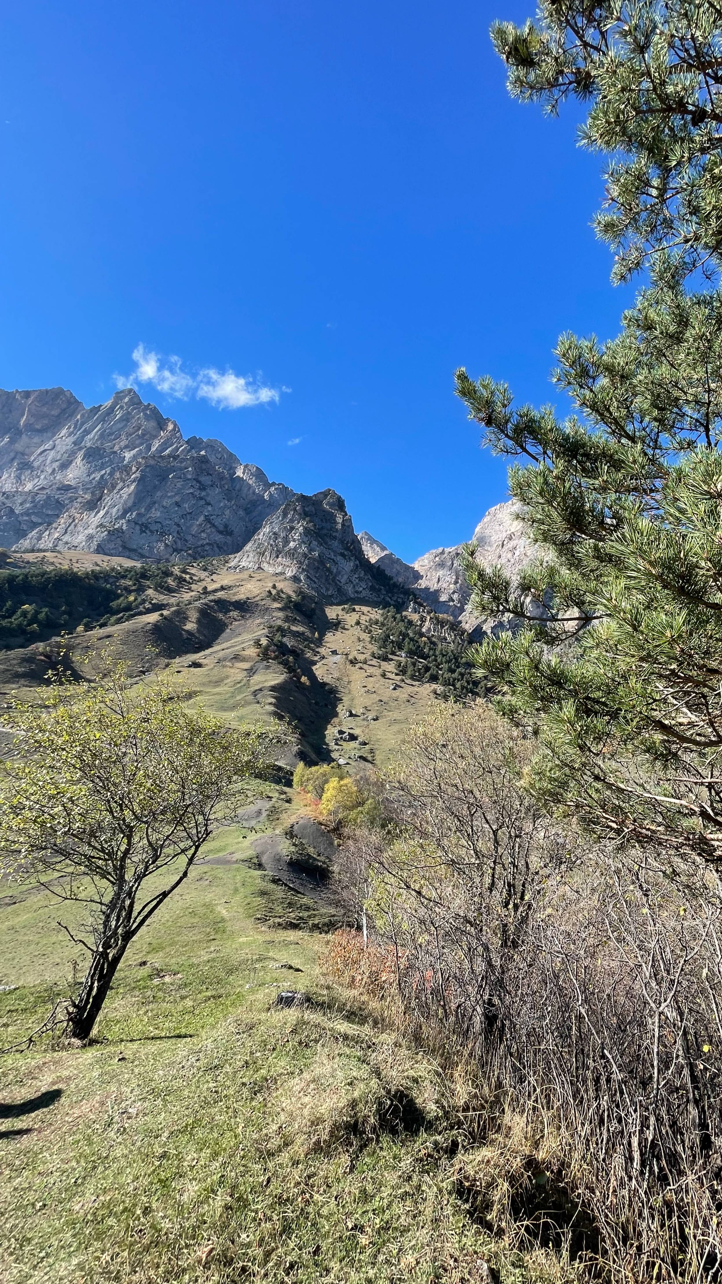 Ингушетия Октябрь 2025 смотреть онлайн