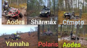 Какой квадроцикл лучше едет по болоту?