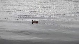 Вторая очередь курорта Завидово откроется в ноябре при поддержке ВЭБ.РФ