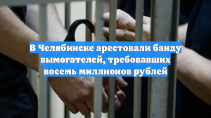 В Челябинске арестовали банду вымогателей, требовавших восемь миллионов рублей