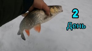 Рыбалка на Косынки на реке.  Один В Лесу.