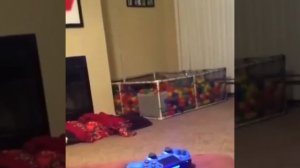 Видео от МЯУтаверс – как метавселенная, но с котами