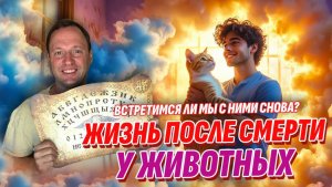 Раскрыта тайна, куда после смерти попадают животные (не туда, куда все думали)