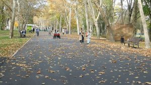 30=10=2025  СОЛНЕЧНЫЙ ОСТРОВ. КРАСНОДАР  (115)