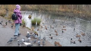 На новую квартиру.  02.11.25