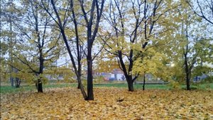 Сегодня ДР у Серёжи.