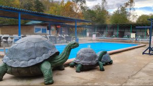 Хорошая база с геотермальной скважиной в районе Гуамки – H2O