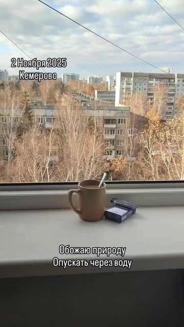 2025-11-02 смотреть онлайн