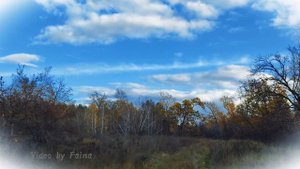 Я тебя никому не отдам!!! cover. Виват Басов