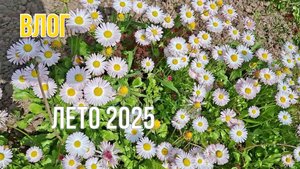 Закрытие дачного сезона 2025