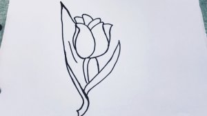 Тюльпан. Рисуем Вместе.