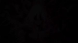 Y$57 x SAURXN -  FIRST AID KIT