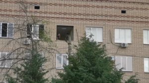 Поликлиника ремонт 2025 Сальск