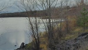 Велопрогулка \\ 2 ноября.