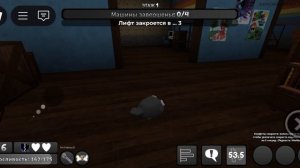 я купил пеббла