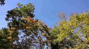 Владивосток - Партизанский район