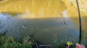 ЛОВЛЯ РЫБЫ fishing