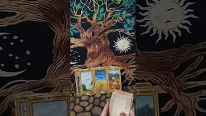 События недели