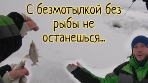 Эта безмотылка вне конкуренции...