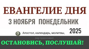 3 ноября понедельник Евангелие дня 2025 с толкованием #евангелие