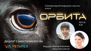 "ОРБИТА" с врачом УЗ-диагностики Викторией Беляевой  и анестезиологом Анной Амет