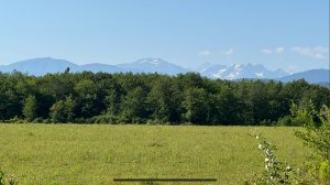 Посмотри видео - оставь иллюзии об Абхазии в прошлом! Что происходит и что будет с недвижимостью