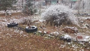 2 ноября 2025 выпал первый Снег, Заглушки профильной трубы Забора