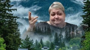 Комментарии /2